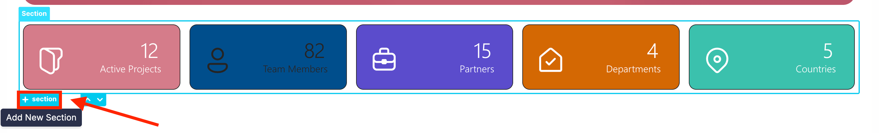 Clicking the blue plus icon button to add a new Section