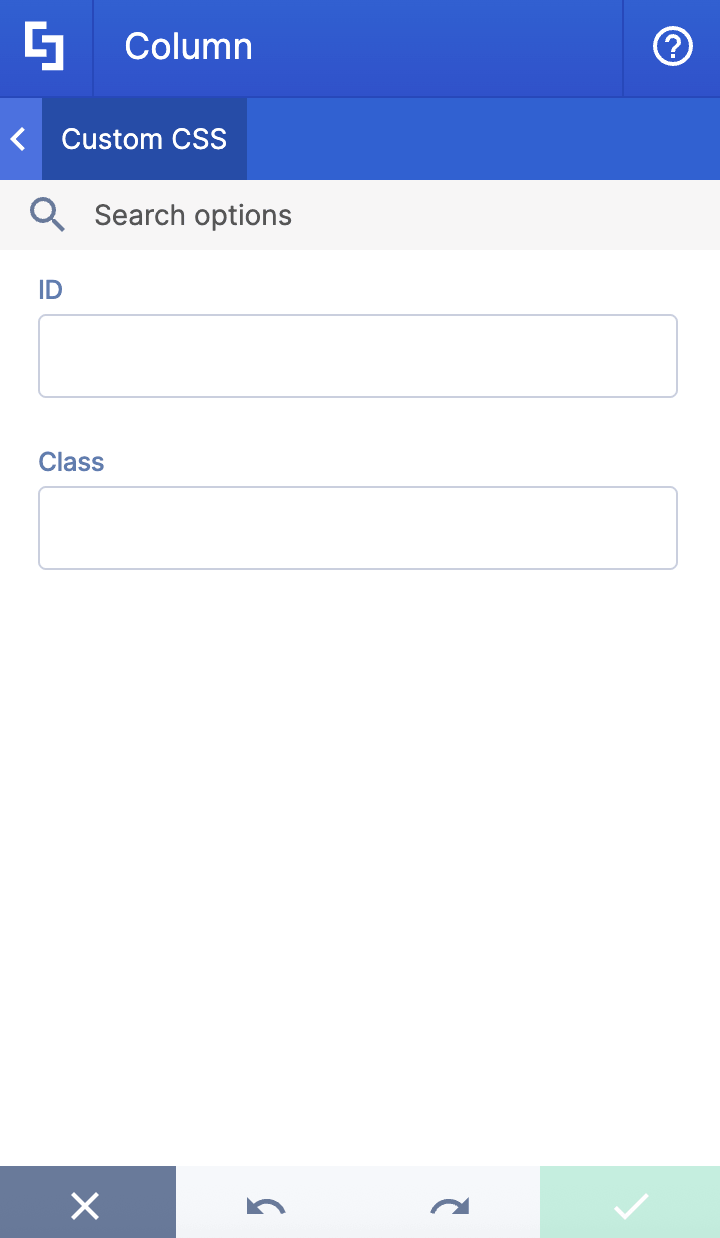 ID and Class input fields in Custom CSS tab for custom code styling