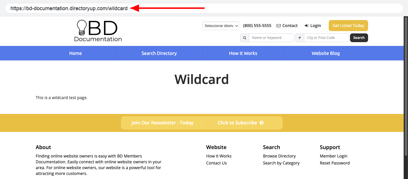 The wildcard page at its own URL