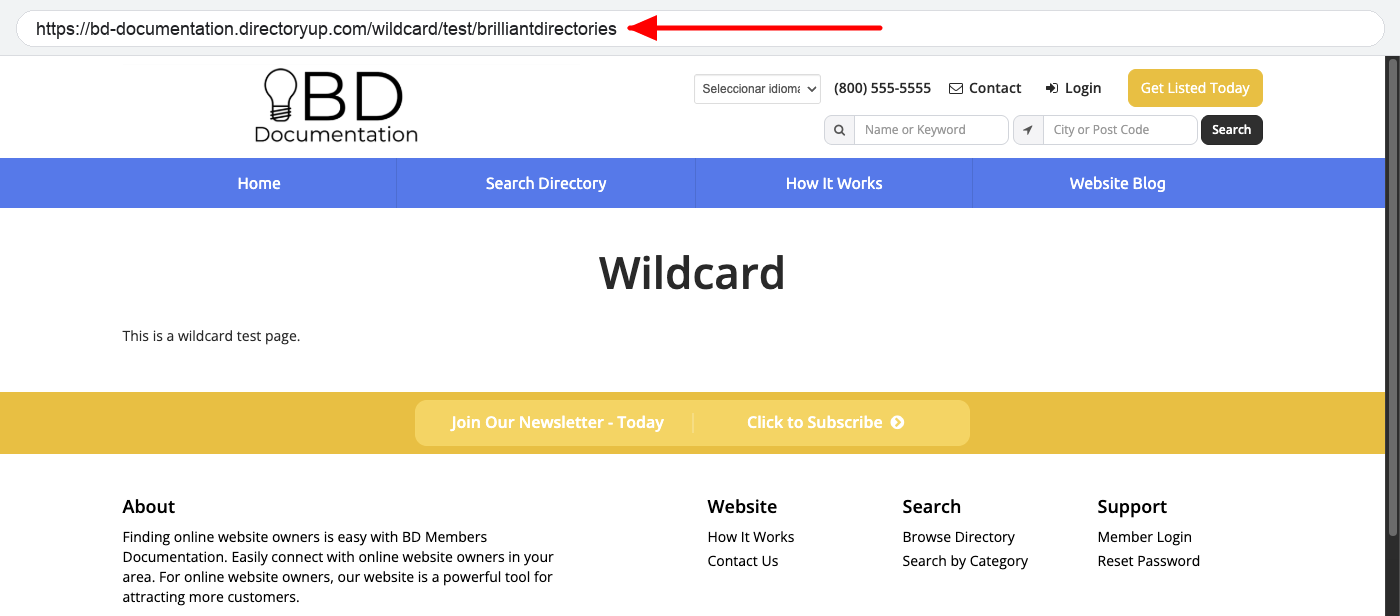 The same wildcard page shown at a child URL