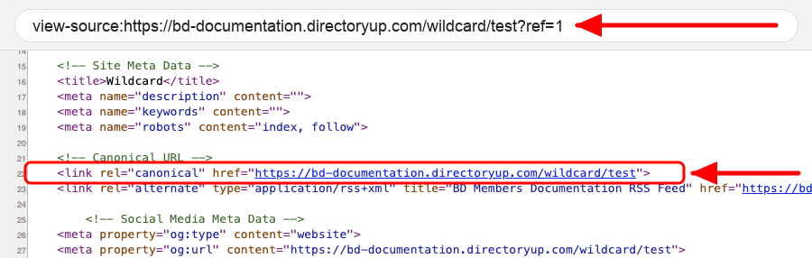 Page source of a wildcard child URL showing its own address as the canonical URL