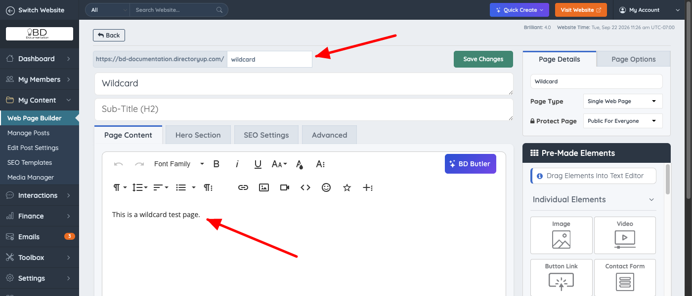 New web page with the URL set to wildcard and page content entered