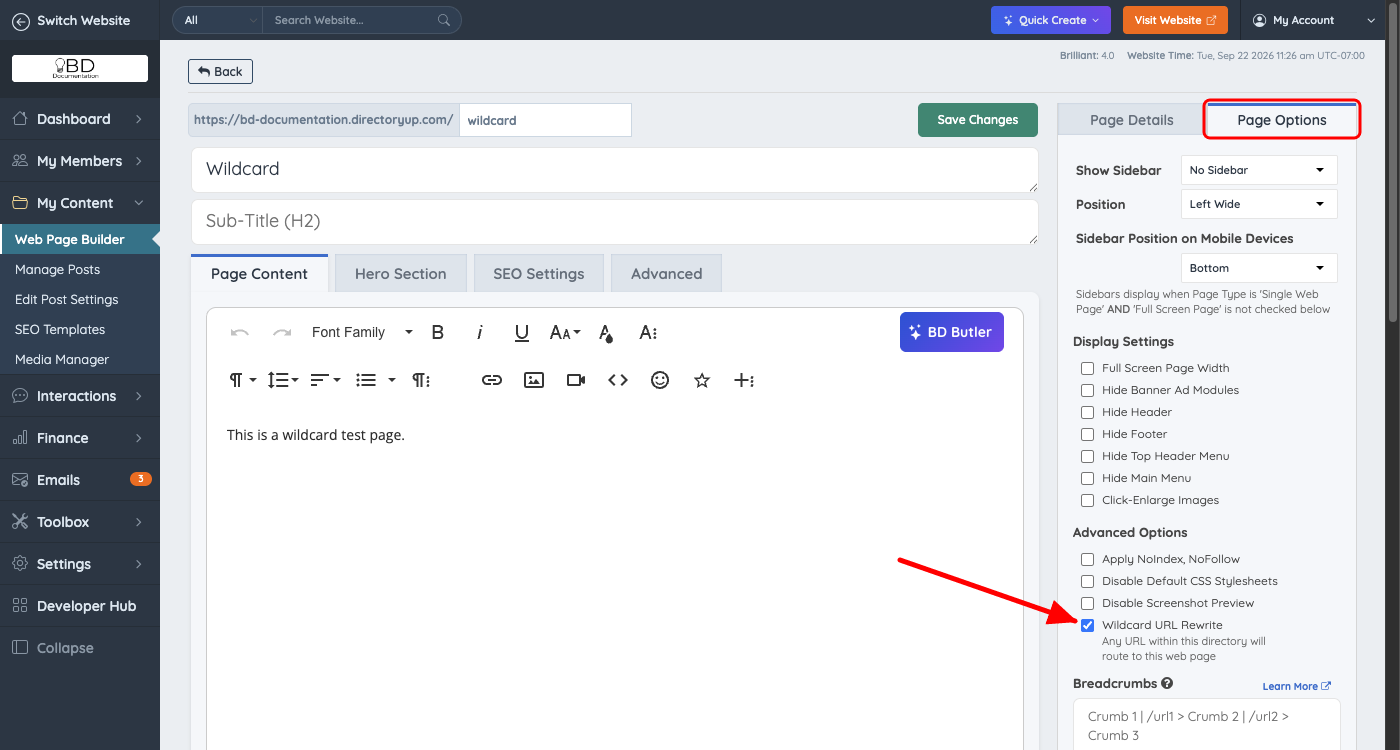 Wildcard URL Rewrite checked under Advanced Options on the Page Options tab