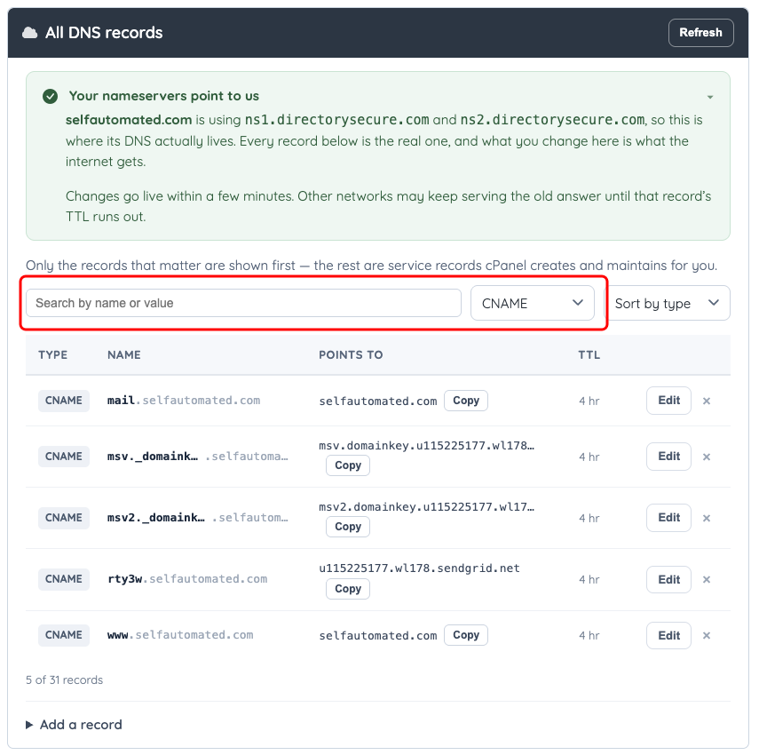 A BD-hosted DNS zone filtered to CNAME records, with the search box and type filter marked