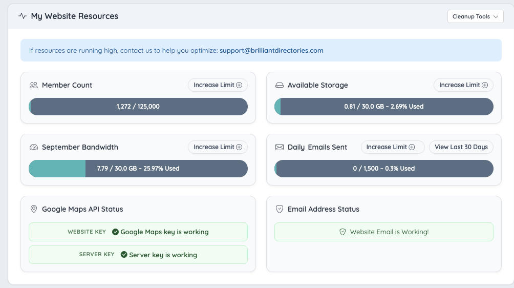 My Website Resources module showing the Google Maps API Status card with the Website key and Server key rows