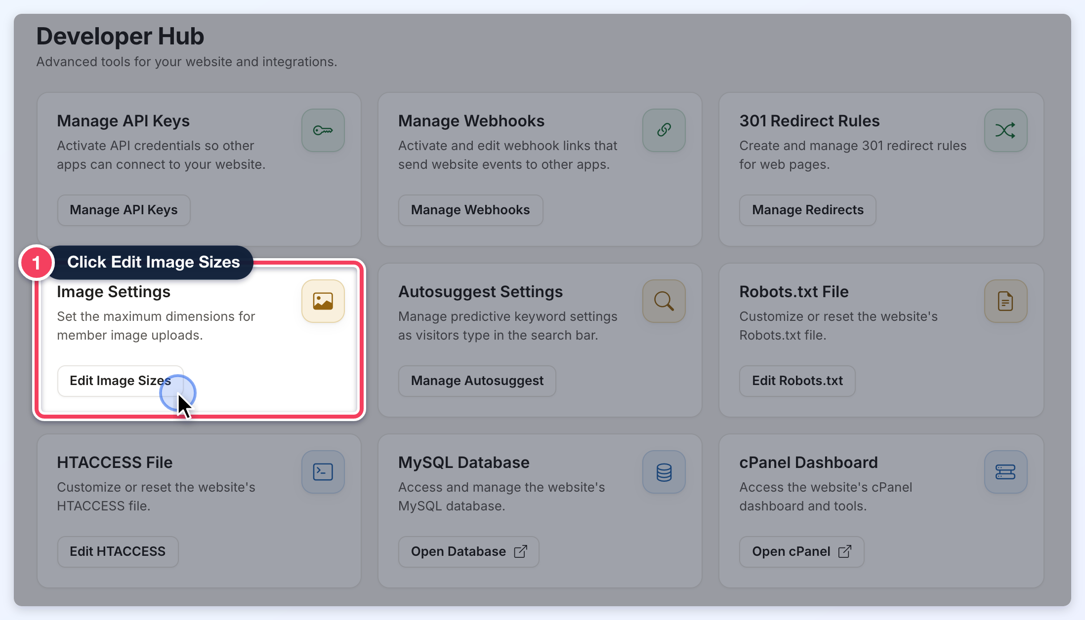 Developer Hub cards with the Image Settings card highlighted and the mouse on its Edit Image Sizes button.