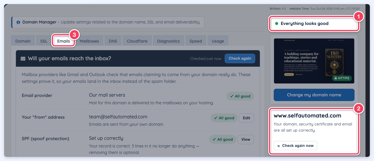 Domain Manager with the Everything looks good summary (1), the domain status card (2) and the Emails tab (3).