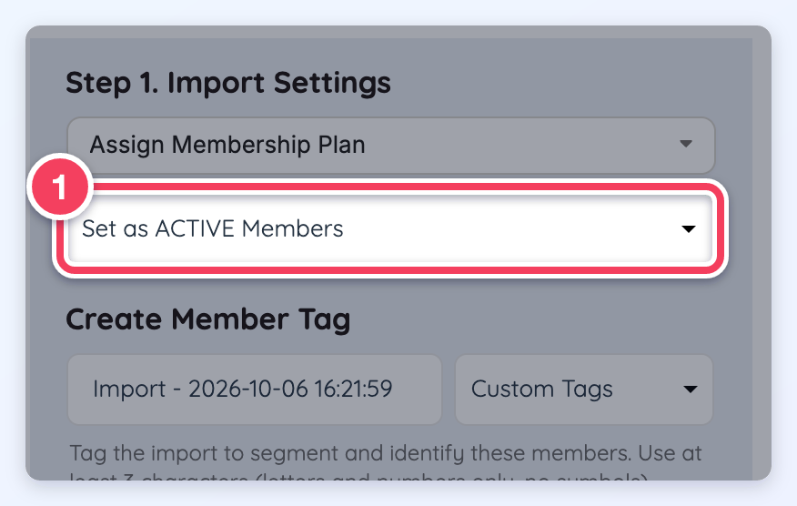 The import status option, set to Set as ACTIVE Members, highlighted on the import page.