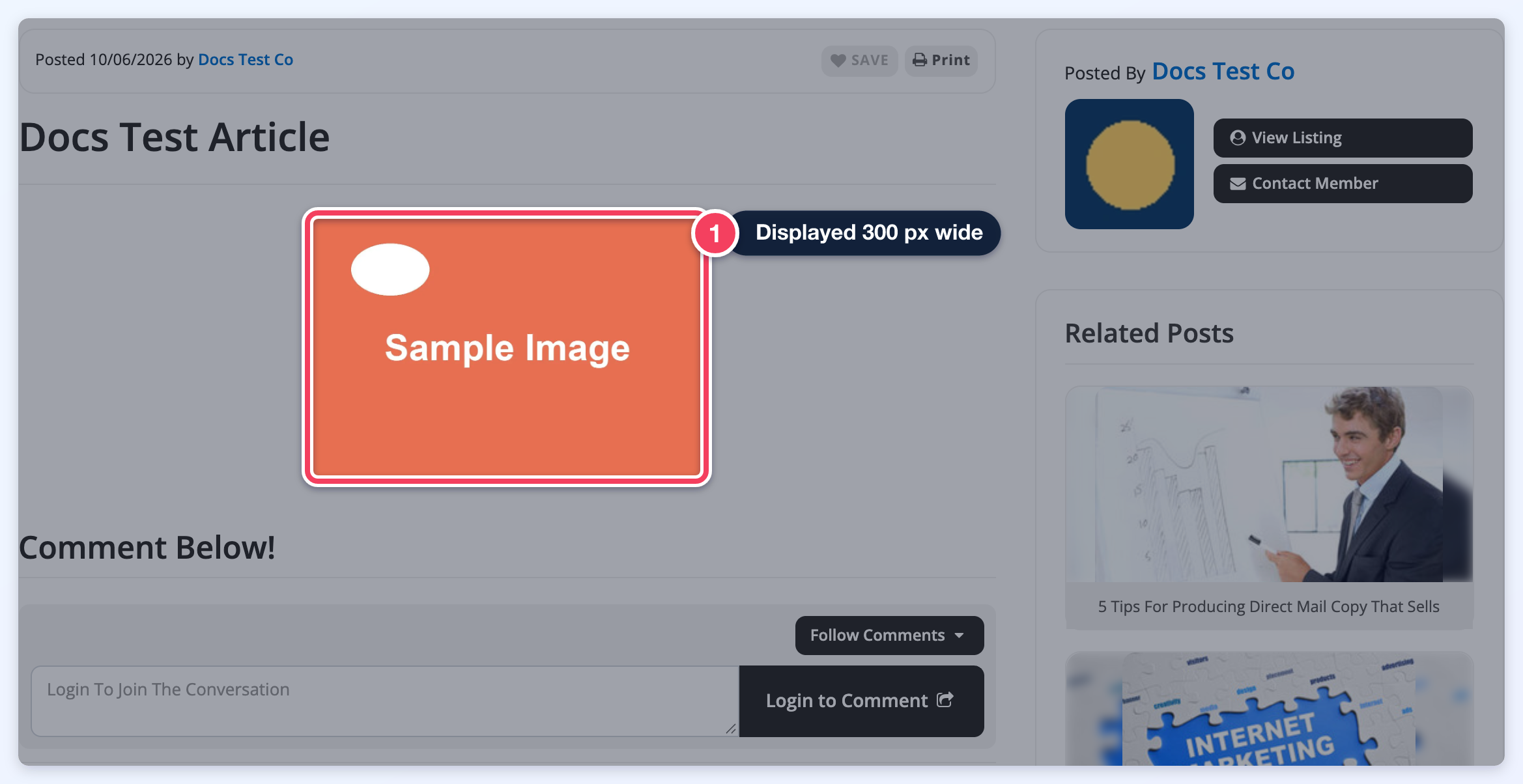 The published test article on the front end with the inserted image displayed 300 px wide (1).