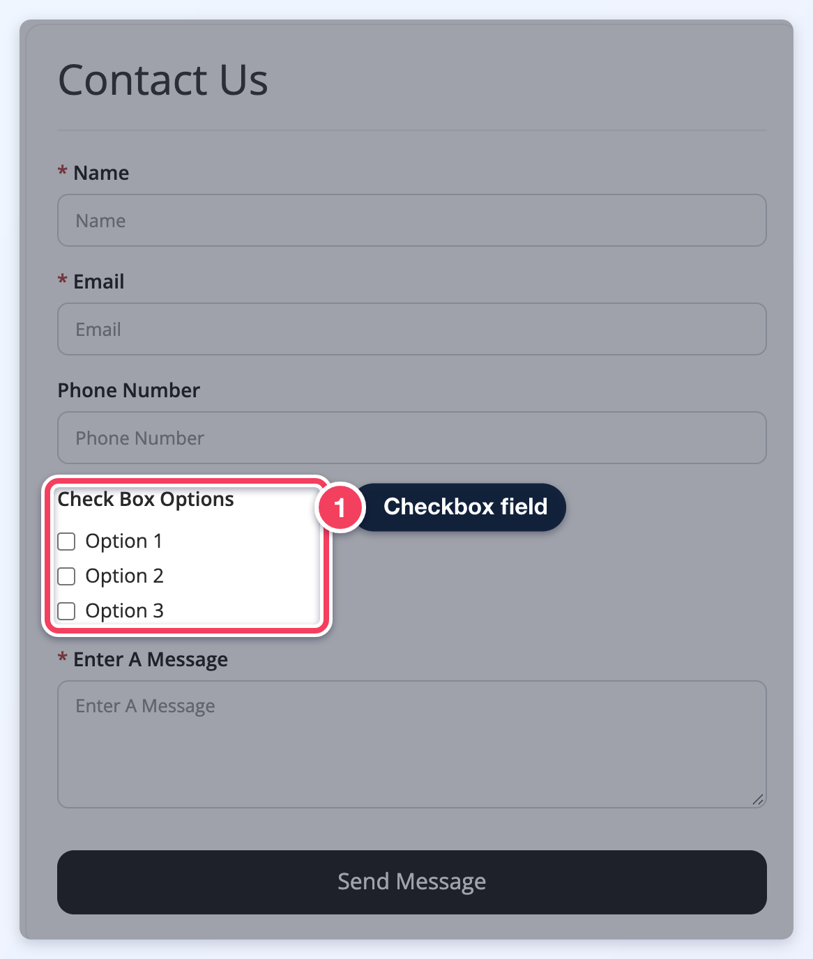 Contact Us form with a Check Box Options field offering Option 1, Option 2 and Option 3 (1).