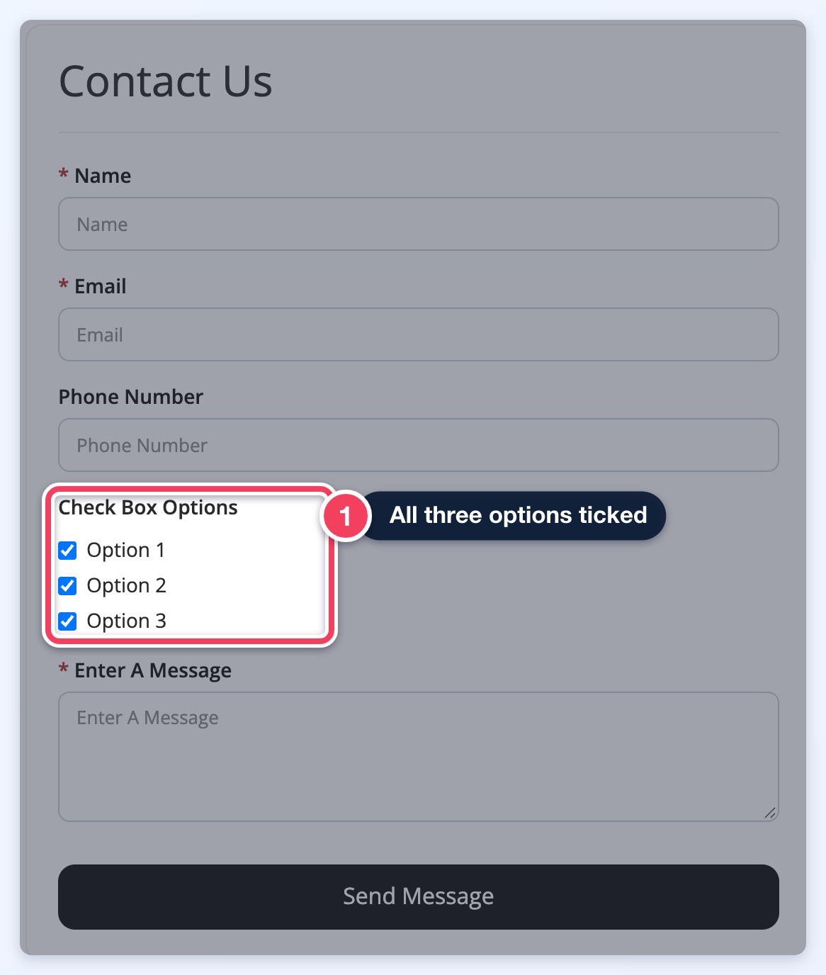 The same Contact Us form with all three checkbox options ticked (1).