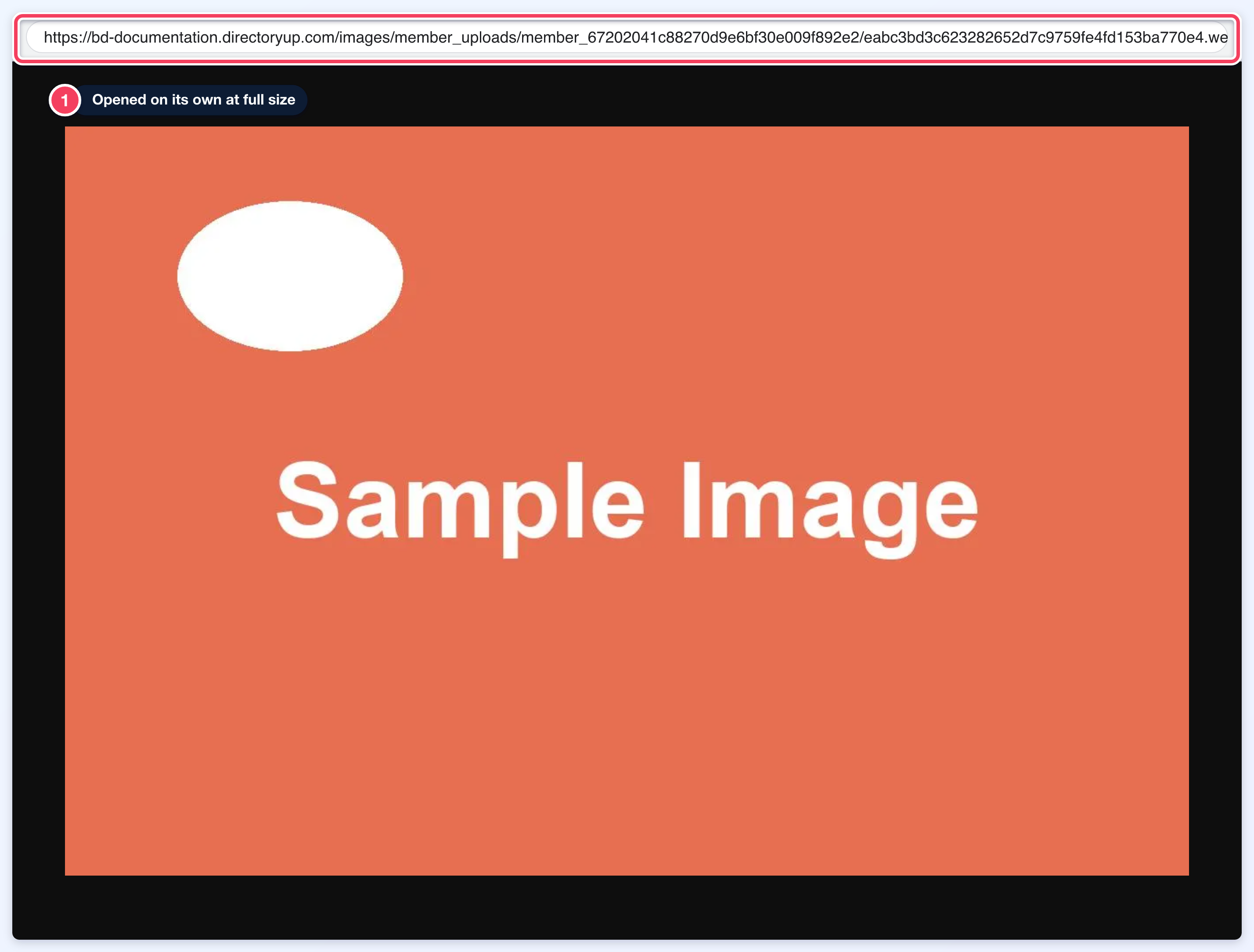 The same image file opened on its own in the browser at its full 1280 px width, with the address bar marked (1).