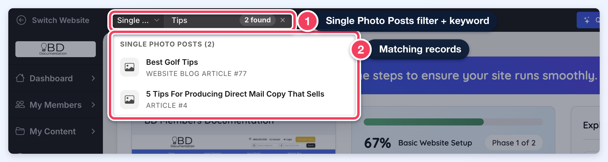 Single Photo Posts filter with the keyword Tips and two matching posts