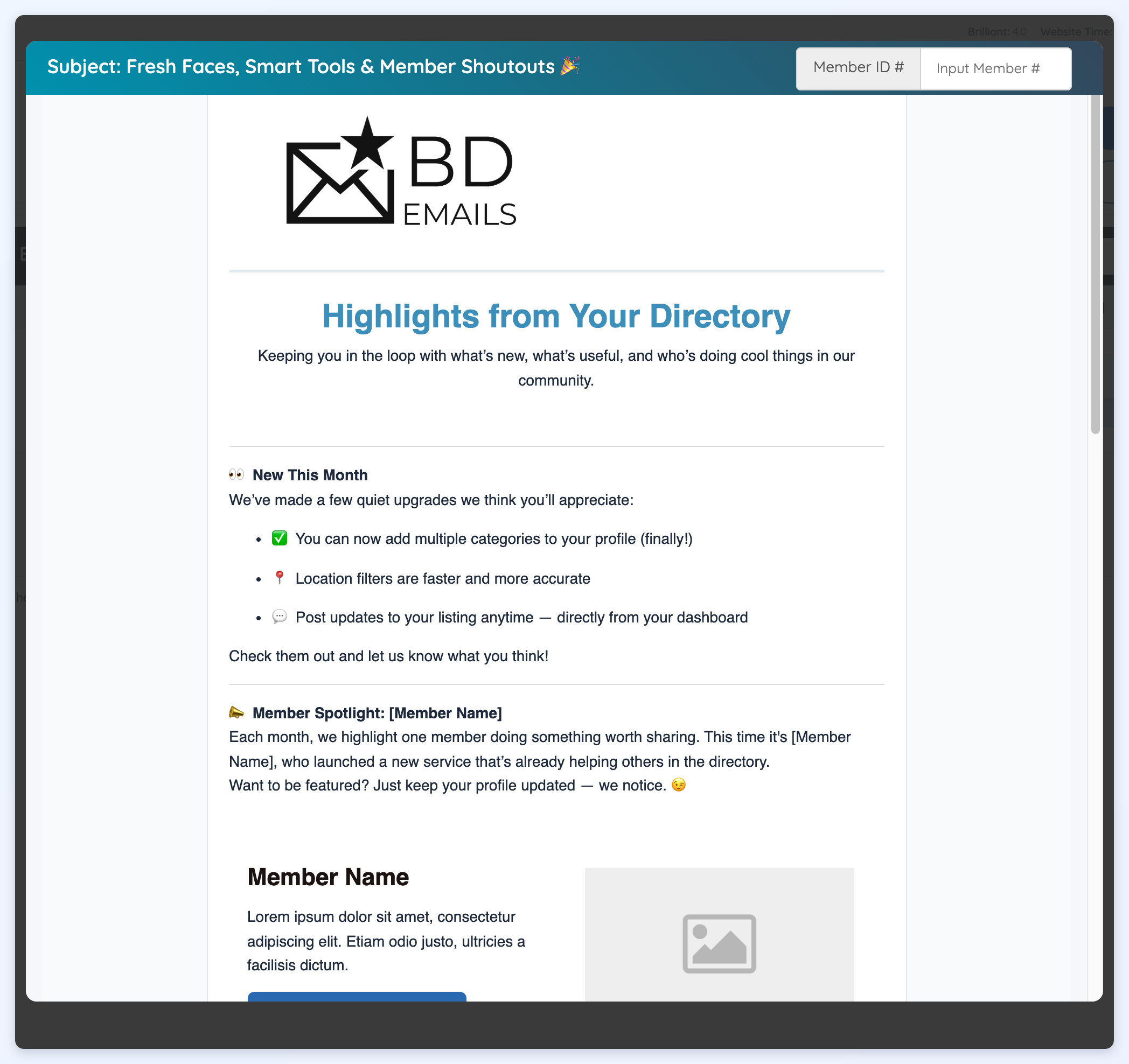 The Preview Email popup showing the newsletter content.