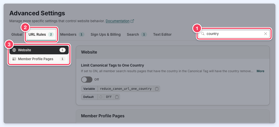 A search for country in the Search box (1) opens the URL Rules tab, which shows 2 matches (2), and the section list shows only the matching sections (3).