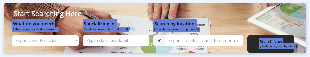 The homepage search area with Show Text Labels on: What do you need:, Specializing in:, Search by location: and Search Now highlighted, each with its [label=...] variable underneath.