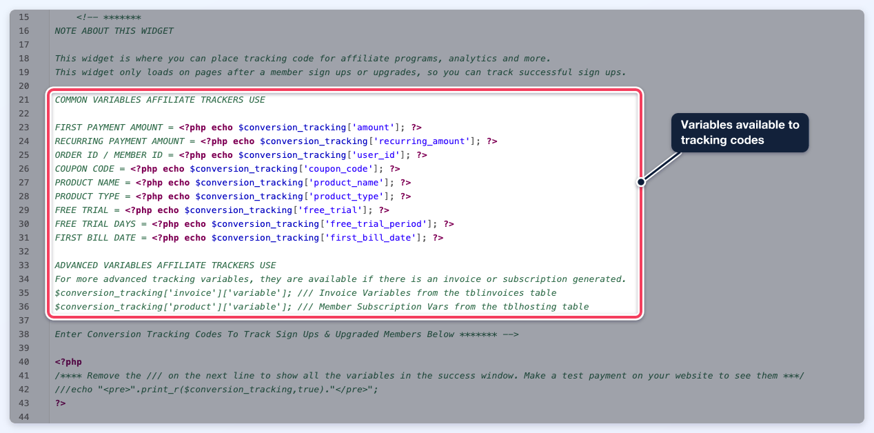 The widget code with the common and advanced conversion tracking variables (lines 21 to 36) highlighted.