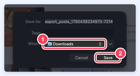 The Mac Save As window for the export_posts file, with the Where location and the Save button highlighted.