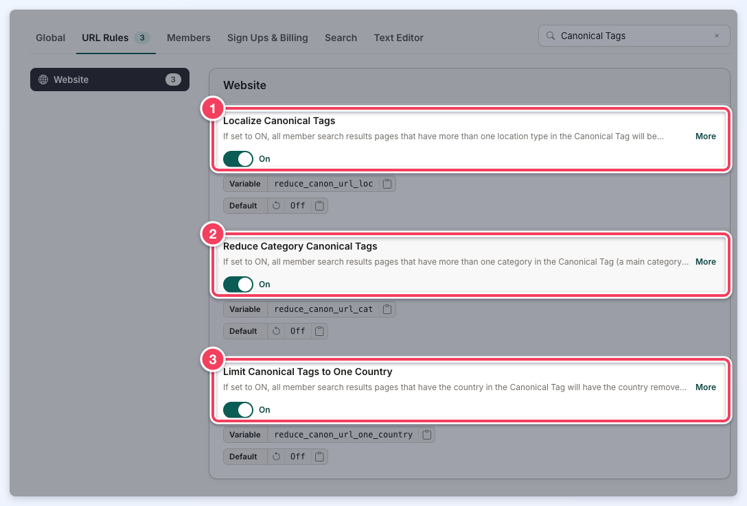Localize Canonical Tags (1), Reduce Category Canonical Tags (2) and Limit Canonical Tags to One Country (3) turned on in the URL Rules tab of Advanced Settings.