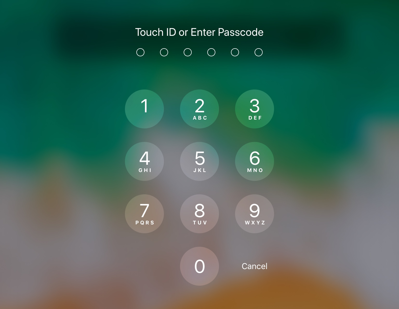 How To Set Up Or Change Your Passcode And Touch ID On The IPad IDEXX How To Set Up Or Change Your Passcode And Touch ID On The IPad IDEXX