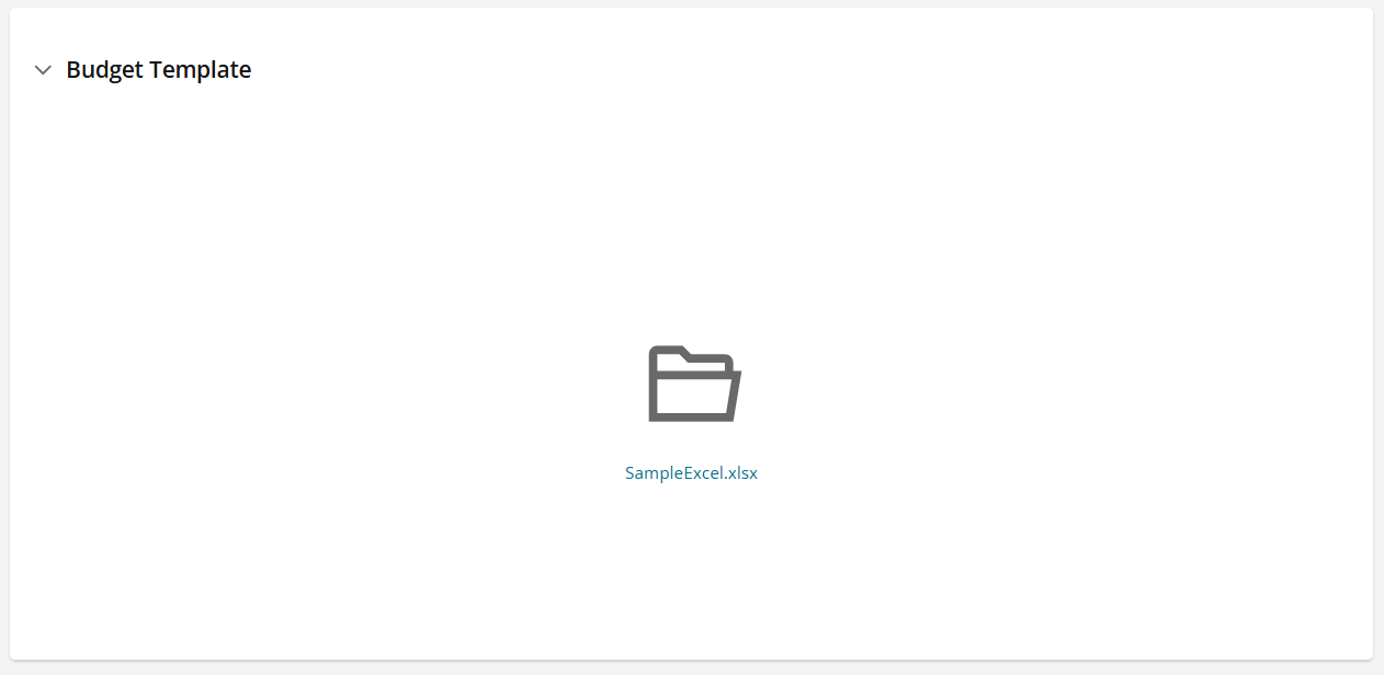 Applicant view of budget template sample
