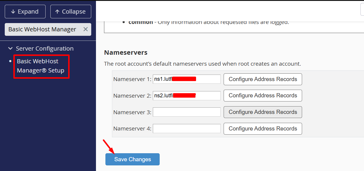 Basic WHM Setup Nameserver