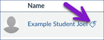 Canvas user row showing “Example Student Joel” with a purple arrow pointing to a tag icon next to the student’s name, indicating applied Differentiation Tags.