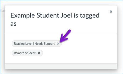 Popup window in Canvas displaying that “Example Student Joel is tagged as” with two applied tags: “Reading Level | Needs Support” and “Remote Student,” each with an “X” button to remove the tag.