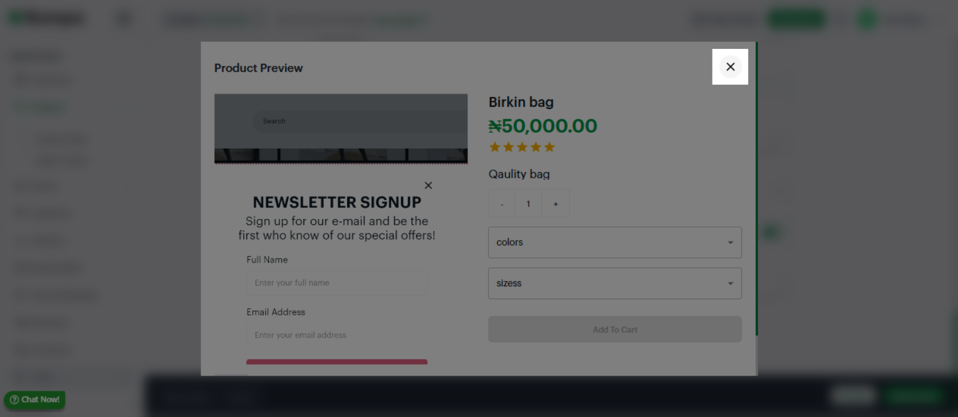 Access Preview Options