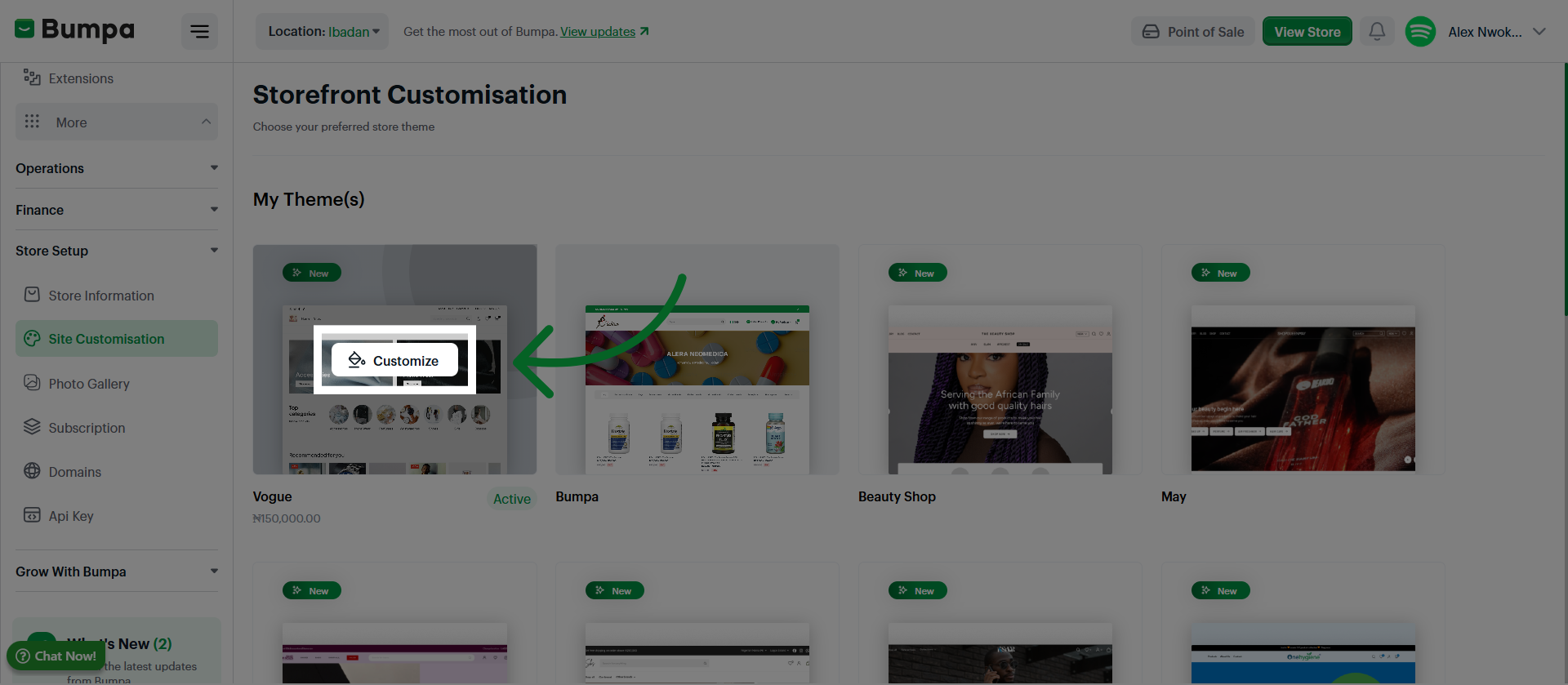 Open Paint Customize