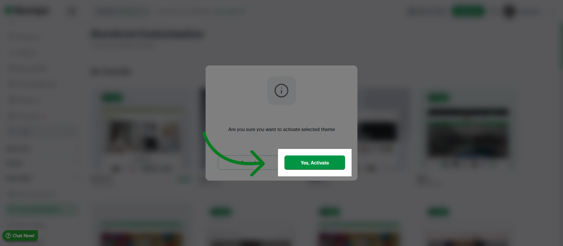 Activate Theme Confirmation