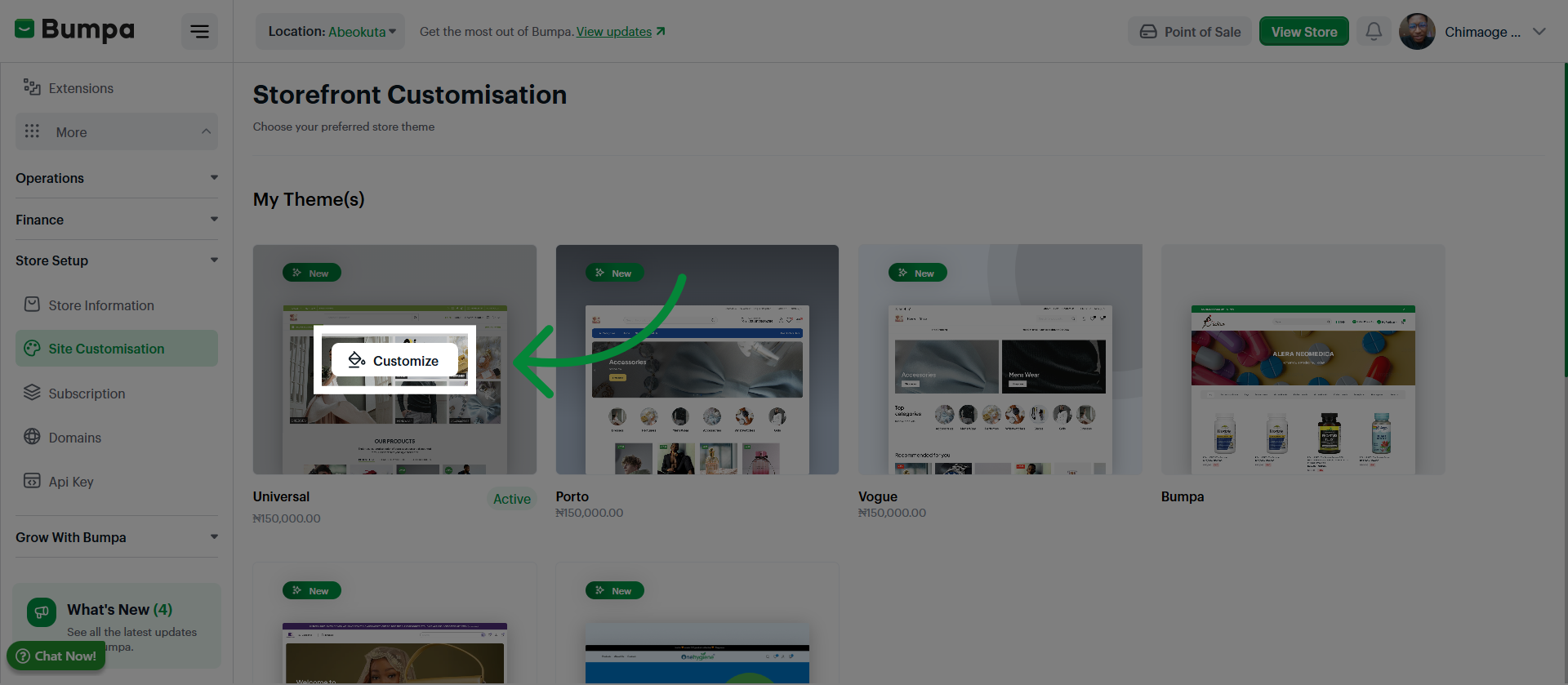 Open PaintCustomize Section