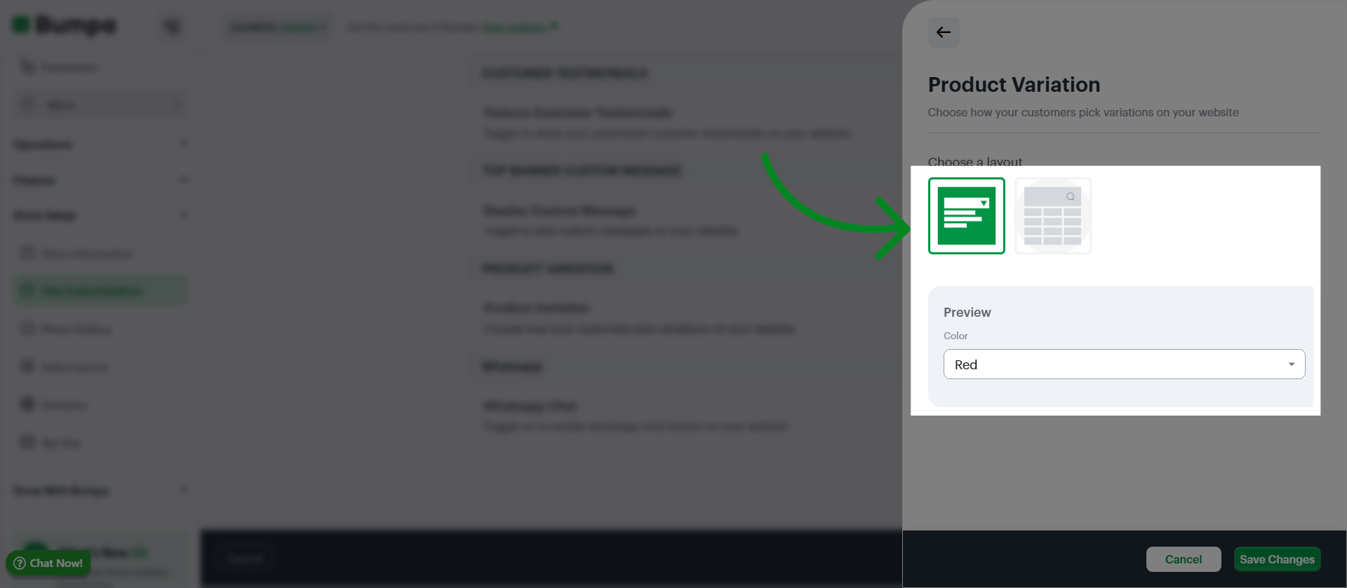 Access Theme Color Options