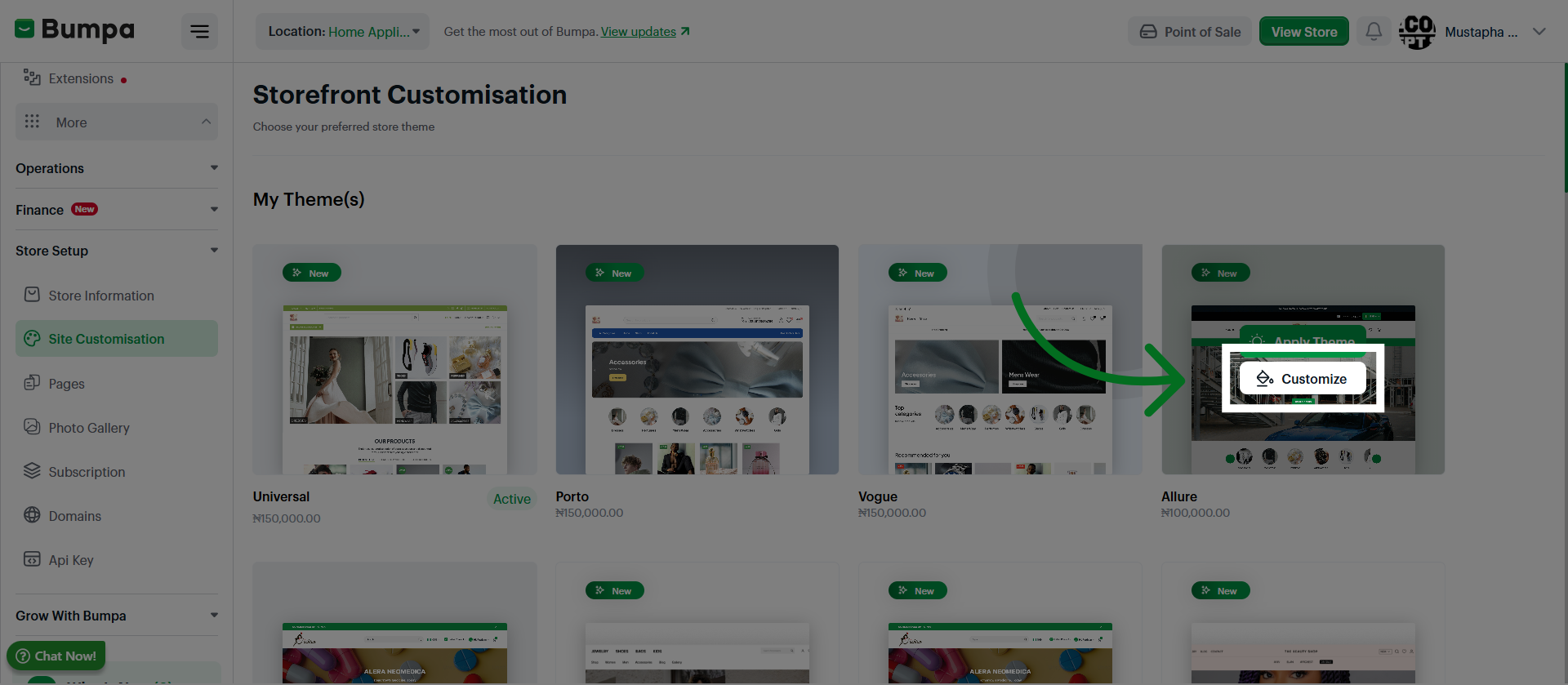 Open PaintCustomize Section