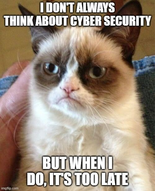 11 hilarious cybersecurity memes of cats