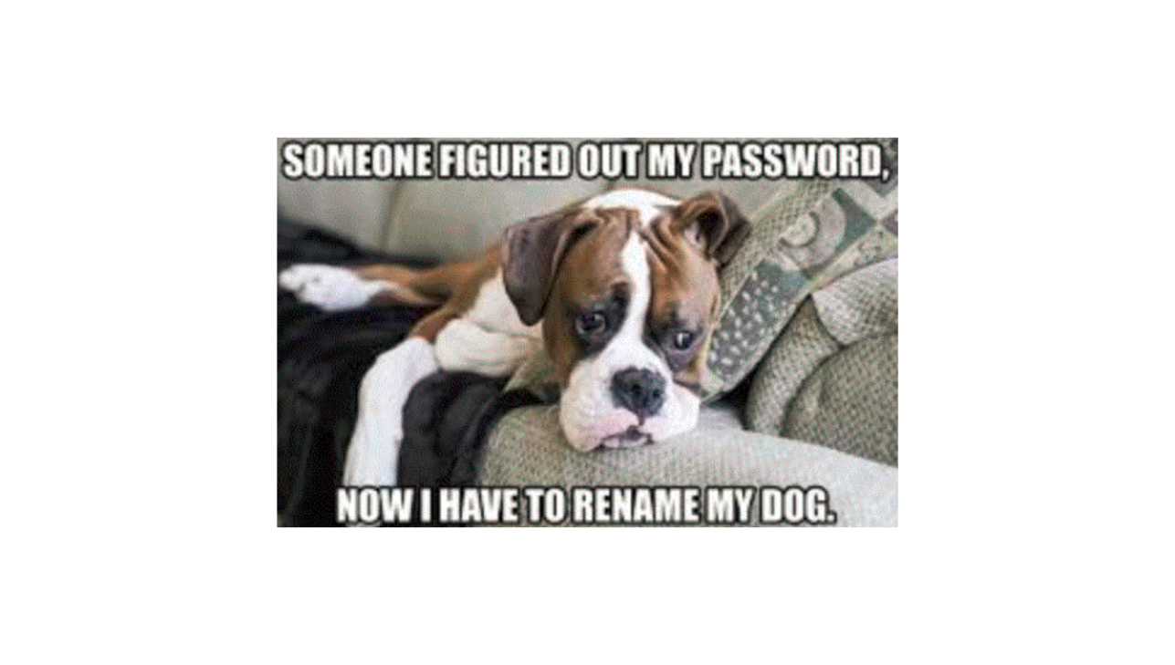 15 Cybersecurity Memes That Will Make You Laugh Then Cry
