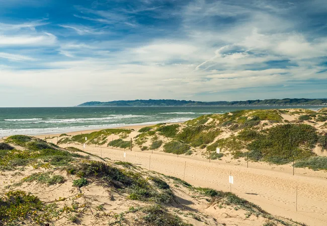 A high-angle view of a vast coastal dune system under a wide, blue sky with wispy white clouds. Large sand dunes are covered in patches of green coastal scrub and low-lying vegetation. In the background, white waves of the Pacific Ocean break on the shore, and a long, dark green mountain range stretches across the horizon.