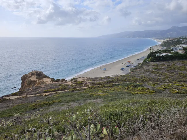 A high-angle, wide-angle view from a coastal bluff overlooking a vast blue ocean. In the foreground, green scrubland and prickly pear cacti with red fruit cover the hillside. To the left, a jagged brown rock formation juts into the water, while to the right, a long sandy beach stretches toward distant hazy mountains under a sky filled with soft white clouds.