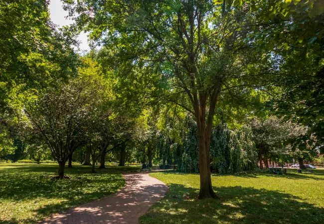 A tranquil tree-lined brick pathway winds through Schiller Park in German Village, Columbus, Ohio, on a bright summer day. Tall mature trees with full green canopies create a shaded, dappled light effect over a well-maintained lawn. A lamppost is faintly visible along the path in the middle distance, and red brick buildings are partially glimpsed through the trees on the right edge.