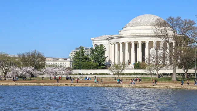 The Thomas Jefferson Memorial viewed from across the Tidal Basin in Washington, D.C., during cherry blossom season. The neoclassical circular white marble building features a large dome and a colonnaded portico. Cherry blossom trees in full and near-full bloom line the bank of the Tidal Basin, where numerous visitors stroll along the pathway in the foreground. The scene is set against a clear, vivid blue sky.