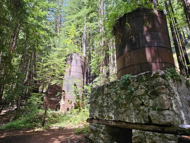 Historic industrial kilns rise among towering redwood trees, their weathered metal structures and stone foundations partially reclaimed by the surrounding forest. Sunlight filters through the dense canopy, illuminating the remnants of the site and highlighting its blend of natural beauty and local history.