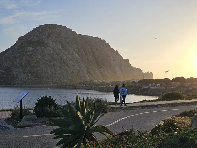 Alt text: Morro Rock towers above the waterfront in Morro Bay at sunset, with two people walking along a coastal path beside calm water, agave plants in the foreground, and kites flying against a golden sky.