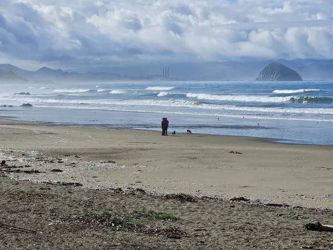 Two people stand with their dogs on a wide sandy beach in Cayucos, while rolling ocean waves stretch toward Morro Rock in the distance beneath dramatic clouds and coastal mist.