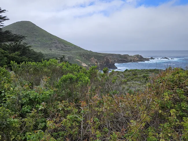 A lush green hillside slopes down to a rugged rocky coastline, where waves break against the shore beneath a blanket of low coastal clouds. Dense coastal shrubs and wild vegetation fill the foreground, framing a scenic ocean vista along the dramatic Big Sur shoreline.