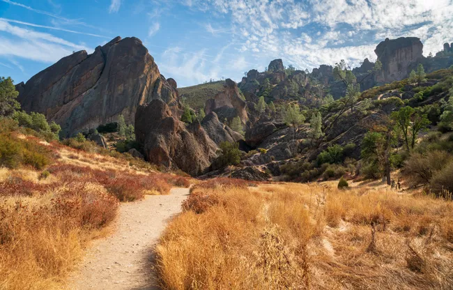 A hiking trail winds through golden grasslands and rugged rock formations in a dramatic canyon landscape. Massive volcanic rock spires and cliffs rise from the valley floor, surrounded by scattered trees and shrubs under a bright blue sky streaked with thin clouds. The scene showcases the striking terrain and hiking opportunities found in Pinnacles National Park.