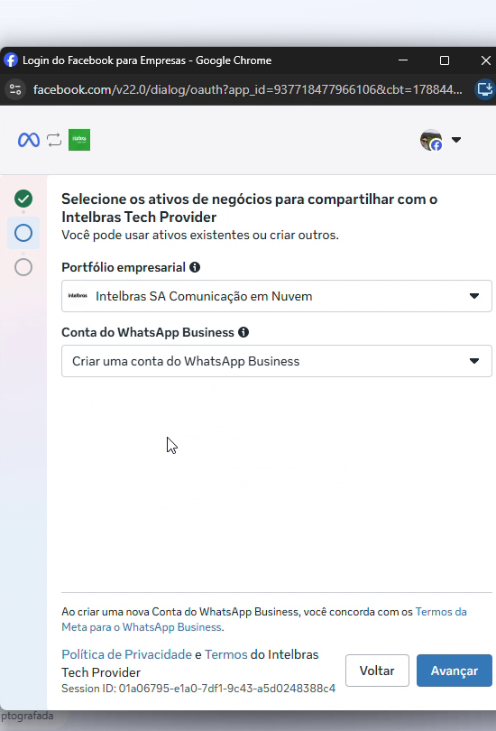 Tela com os campos Portfólio empresarial e Conta do WhatsApp Business preenchidos