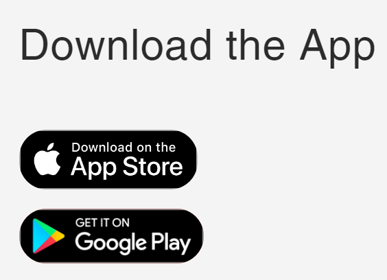 A screenshot of a computer

Description automatically generated