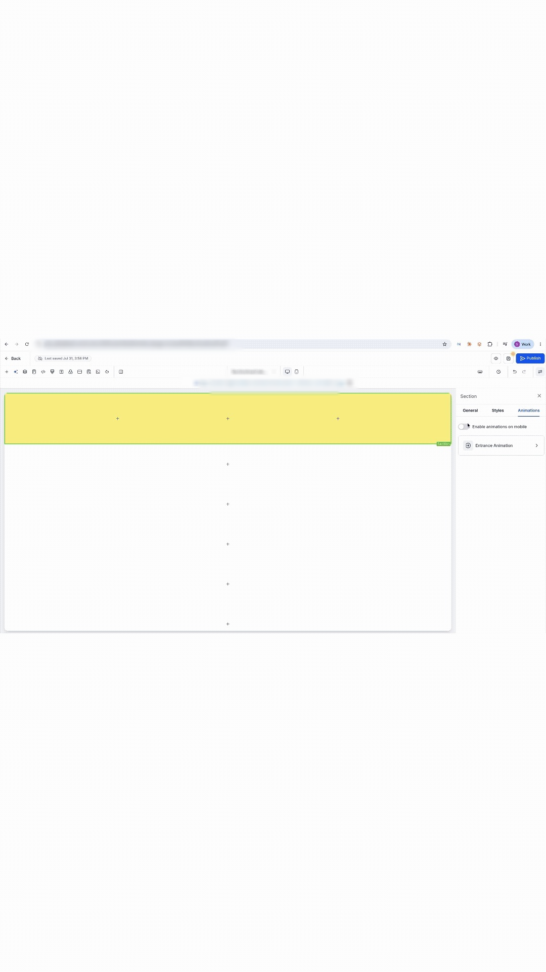 section animation