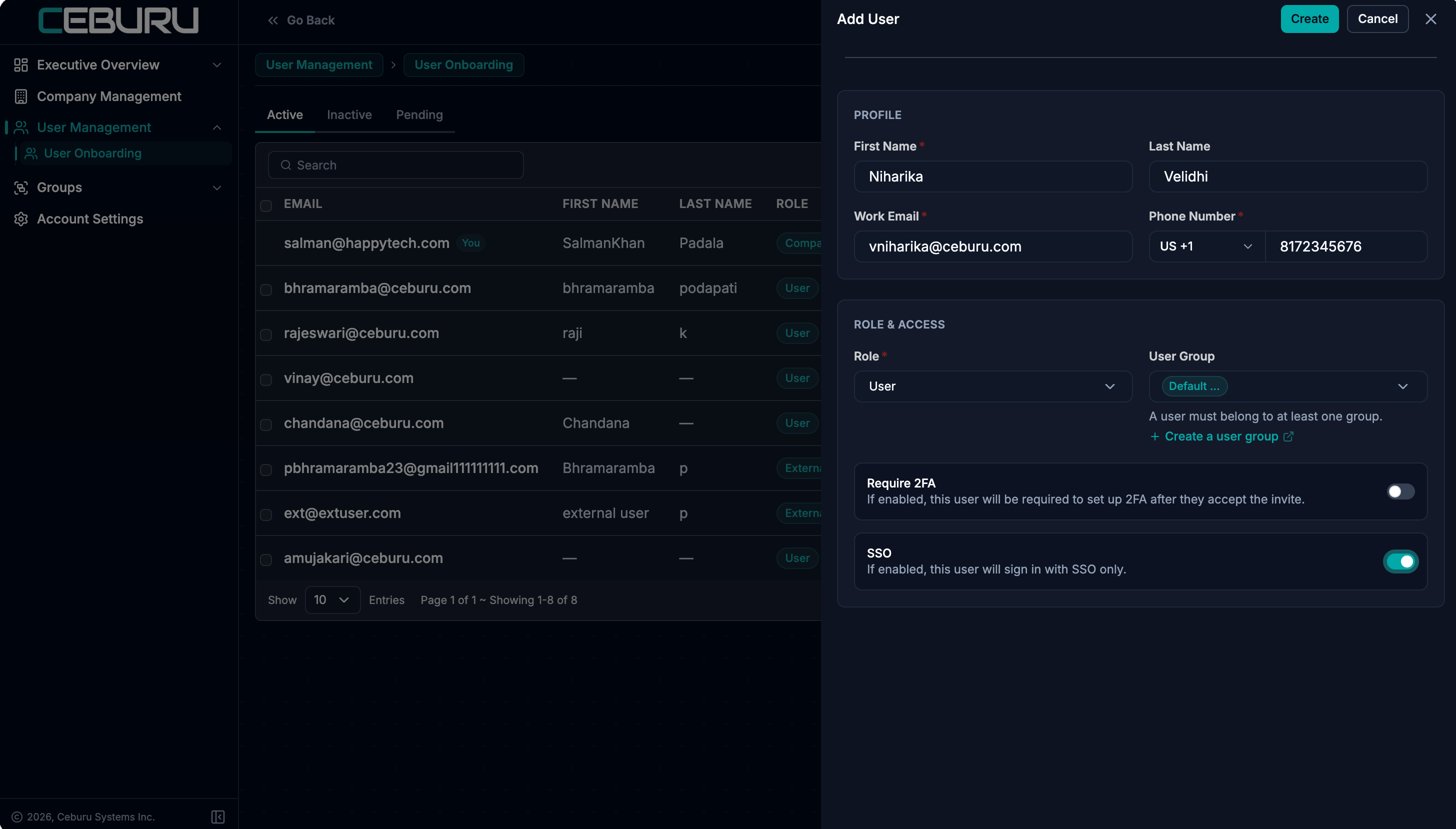 Entering user profile, role and group