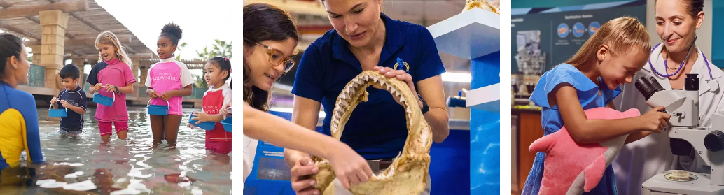 A person looking at a skull

Description automatically generated